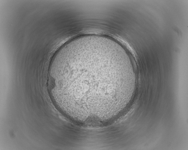 X0000115150529200911171243