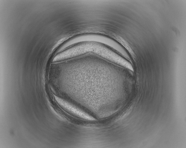 X0000115150530200911171243