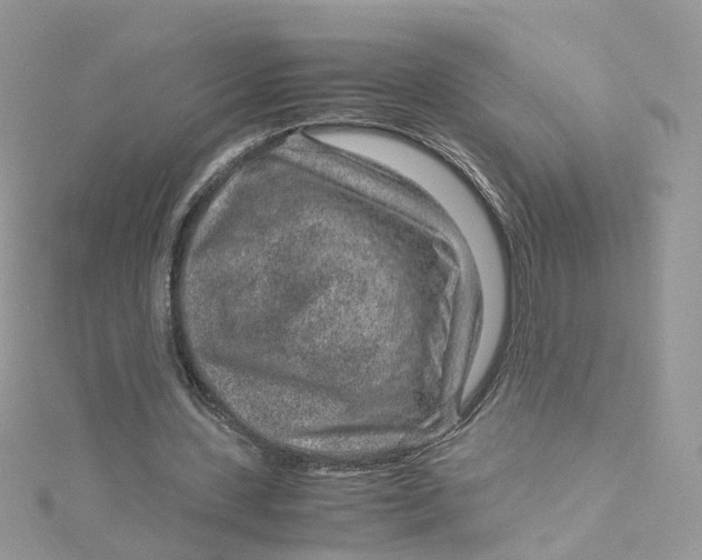 X0000115150531200911171243