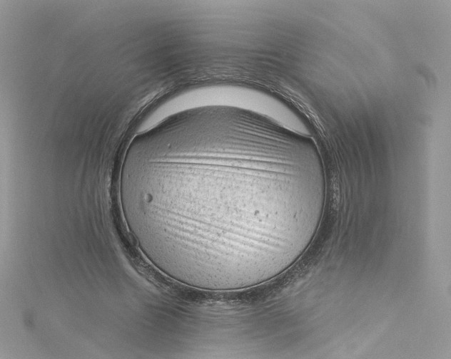 X0000115150538200911171243