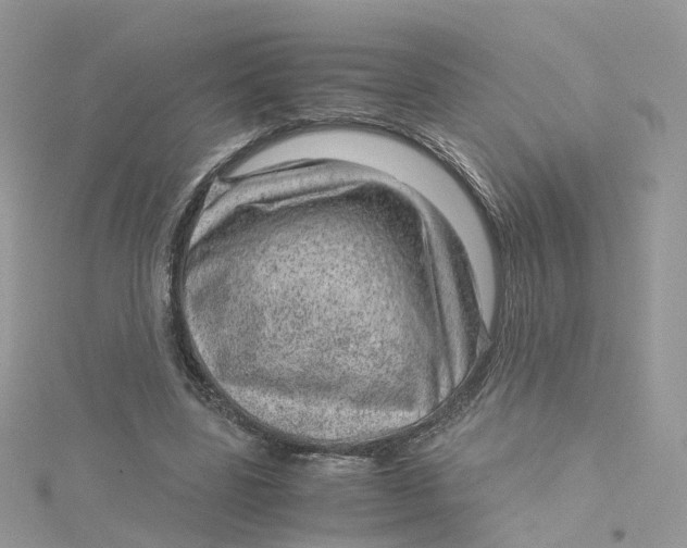 X0000115150539200911171243