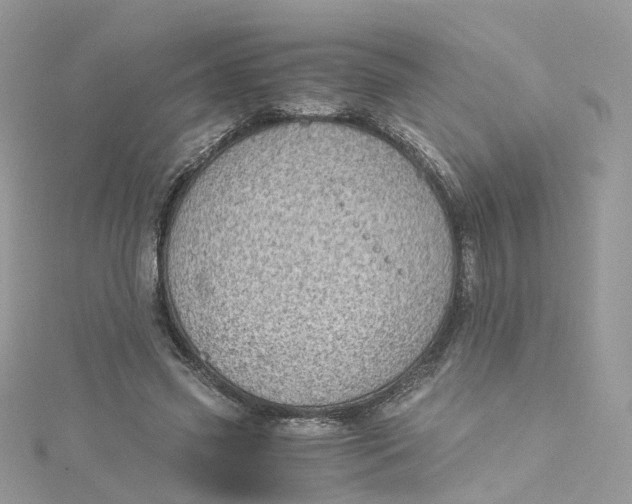 X0000115150541200911171243