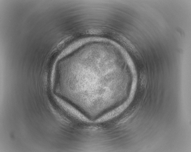 X0000115150542200911171243