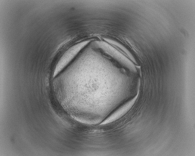 X0000115150543200911171243