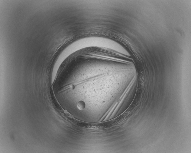 X0000115150546200911171243