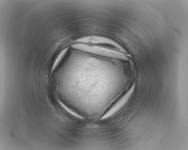 X0000115150547200911171243