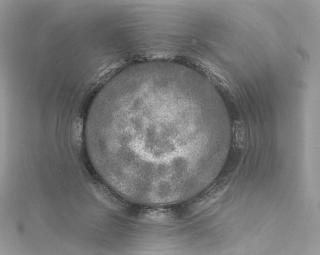 X0000115150550200911171243