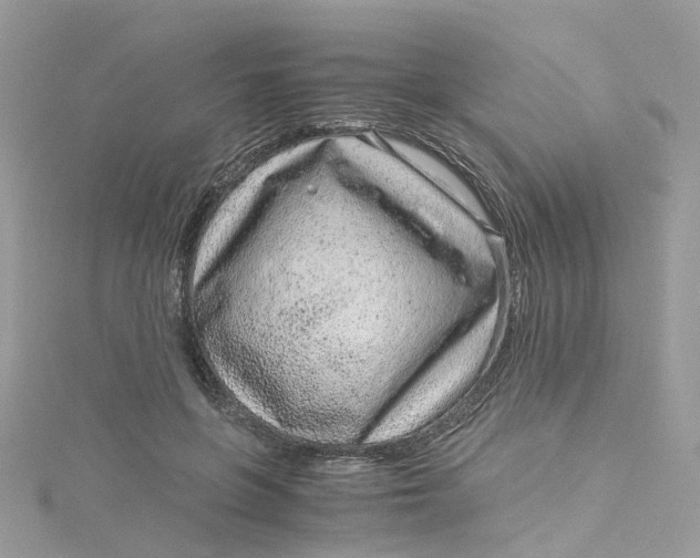 X0000115150551200911171243