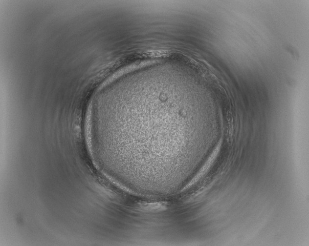 X0000115150553200911171243