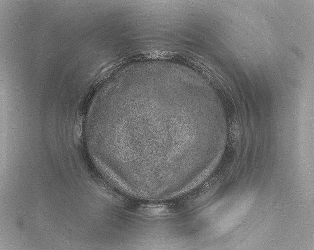 X0000115150554200911171243