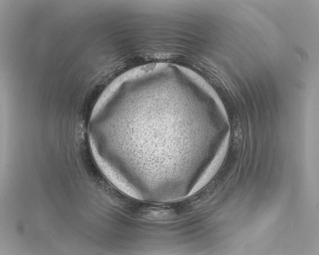 X0000115150555200911171243