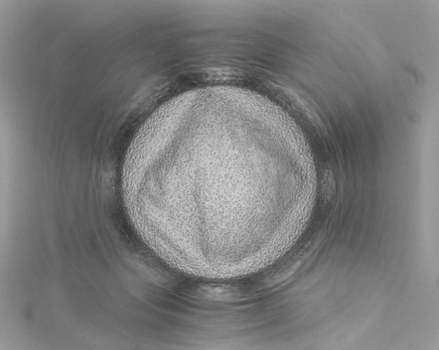 X0000115150557200911171243