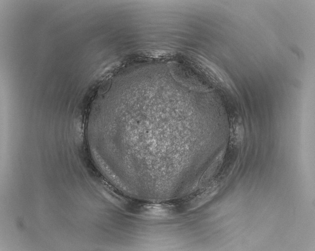 X0000115150558200911171243