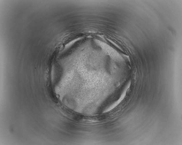 X0000115150559200911171243