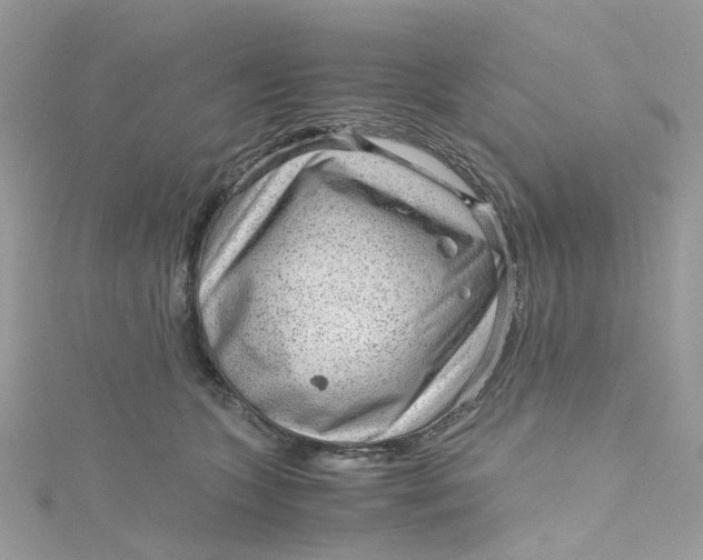 X0000115150563200911171243