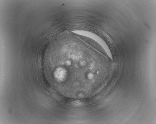 X0000115150565200911171243