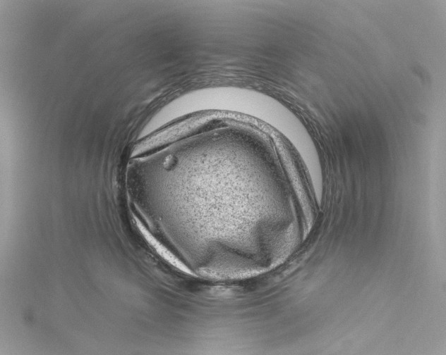 X0000115150566200911171243