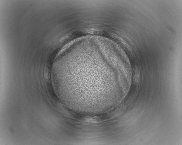 X0000115150569200911171243