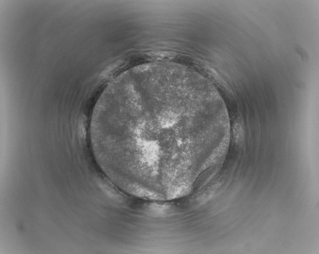 X0000115150570200911171243