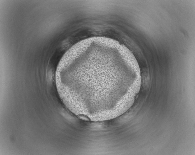 X0000115150574200911171243