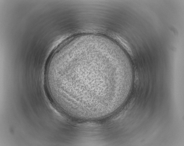 X0000115150578200911171243