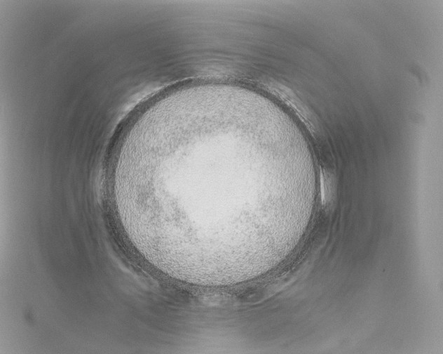 X0000115150579200911171243