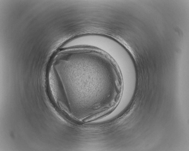 X0000115150581200911171243