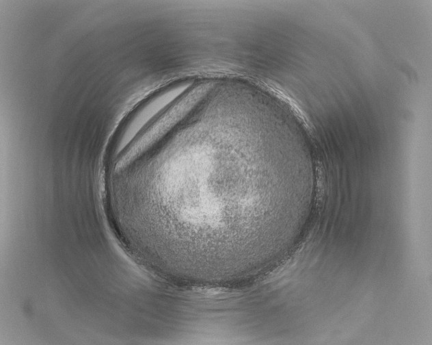 X0000115150582200911171243