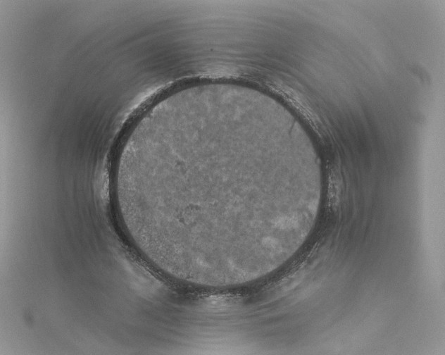 X0000115150584200911171242