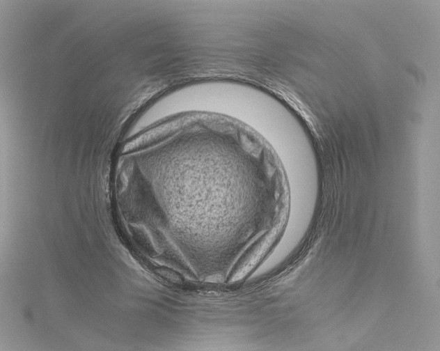 X0000115150585200911171242