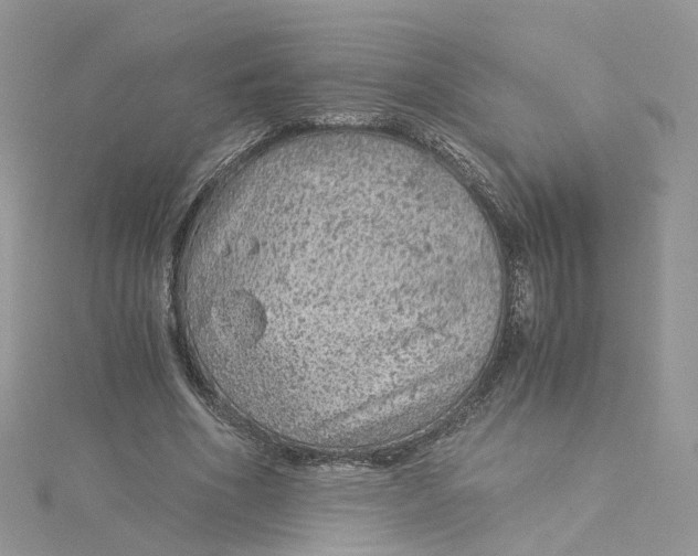 X0000115150586200911171242