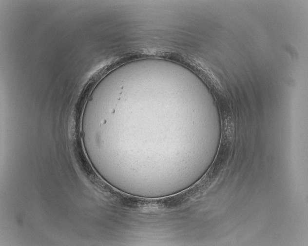 X0000115150587200911171242