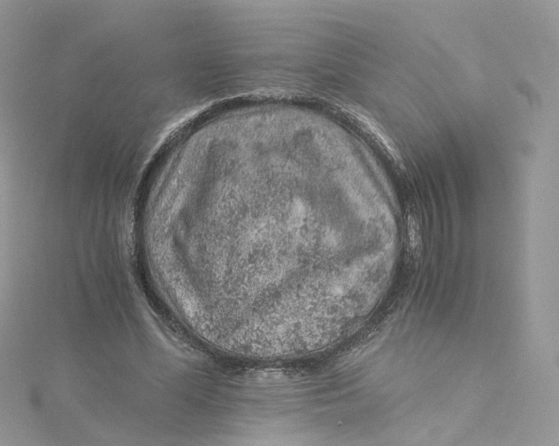 X0000115150588200911171242