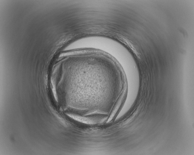 X0000115150589200911171242