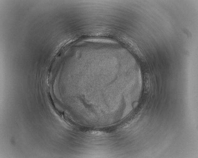 X0000115150590200911171242