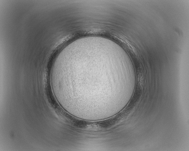 X0000115150591200911171242