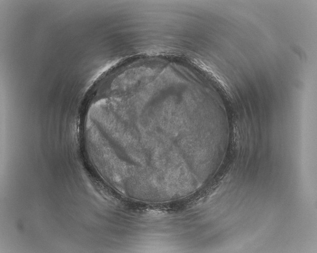 X0000115150592200911171242