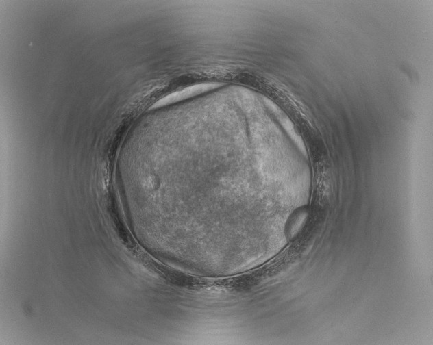 X0000115150593200911171242