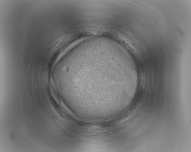 X0000115150594200911171242