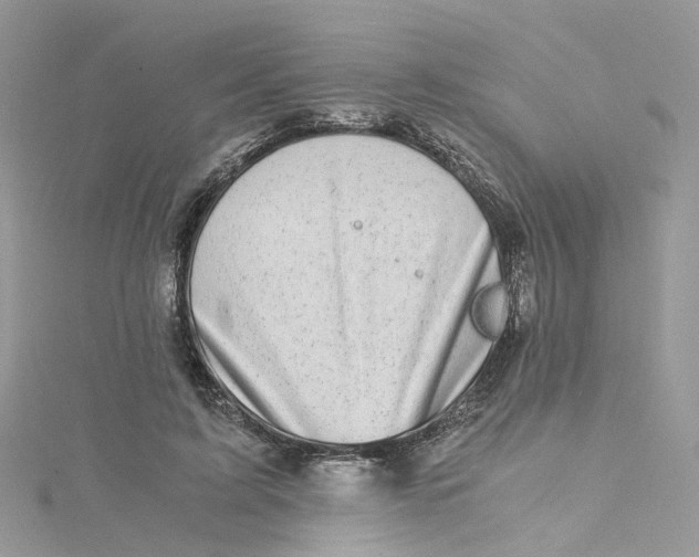 X0000115150595200911171242