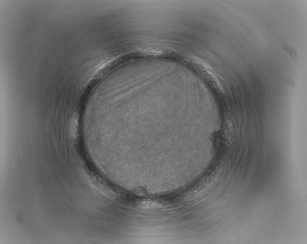 X0000115150596200911171242