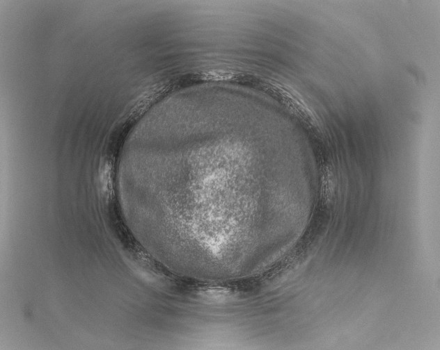 X0000115150598200911171242