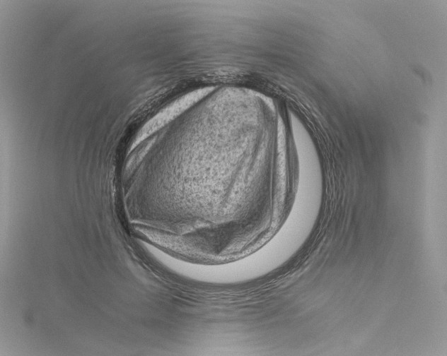 X0000115150599200911171242