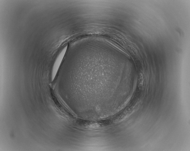 X0000115150600200911171242