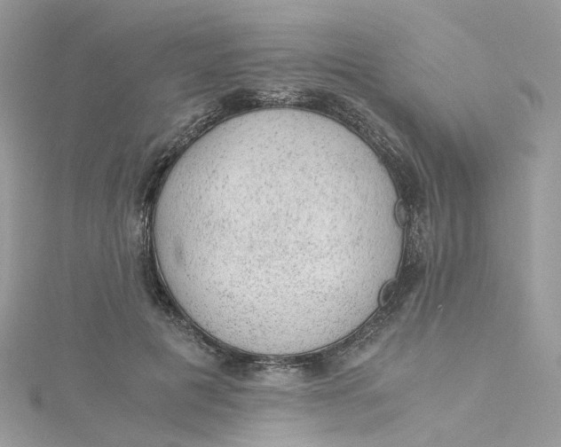 X0000115150601200911171242