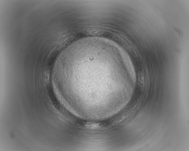 X0000115150602200911171242