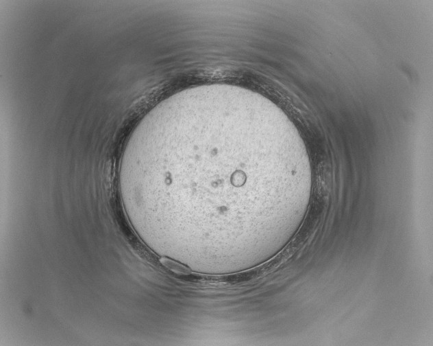 X0000115150605200911171242