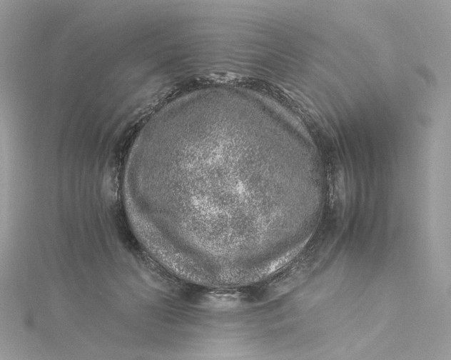 X0000115150606200911171242