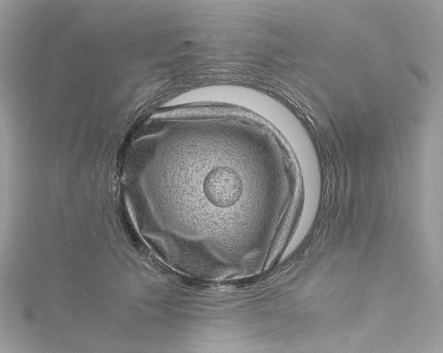 X0000115150609200911171242