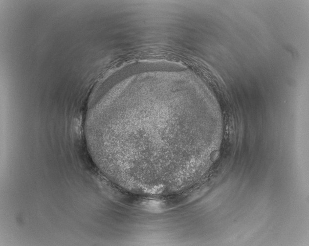 X0000115150610200911171242